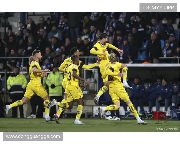 “大黄蜂”多特蒙德队在德甲的表现深度解析