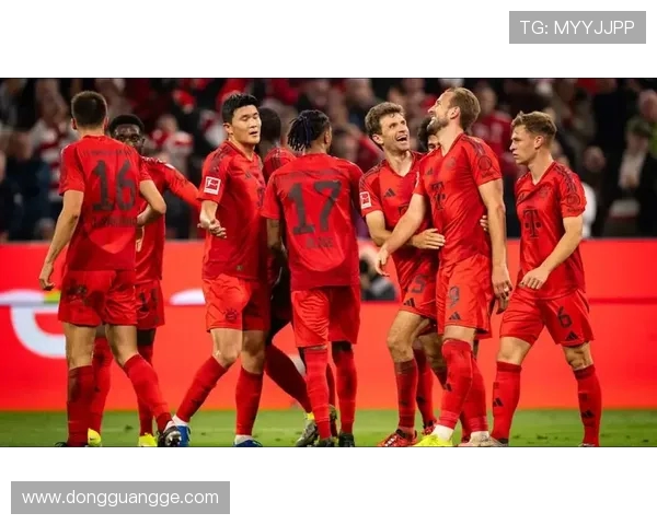 德甲球队2024赛季完整阵容大名单汇总